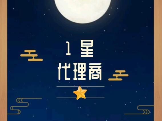 代理商 1星