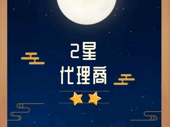 代理商 2星